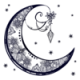 Night Series